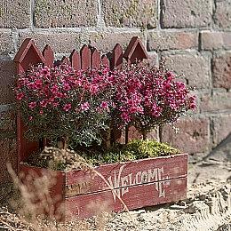 《影之刃：断罪者》发售日预告 11月2日正式上线